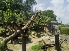 -宁波野生动物园
