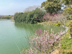 -苏州太湖国家湿地公园