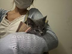 -pd派德宠物中心医院24H急重症·眼科中心·血液透析中心(嵩山北路店)