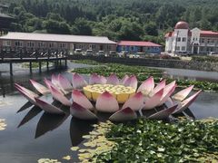 -帽儿山风景区
