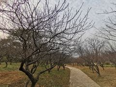 -无锡梅园公园