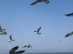 -八仙过海景区