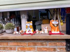 -柴犬高等学院·狗咖·柴犬售卖·宠物训练