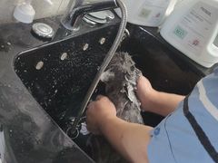-宠物家(长阳店)