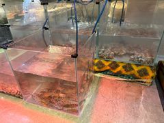 -前海华侨城JW万豪酒店·都会尚膳自助餐厅·牛排海鲜酒水畅飨