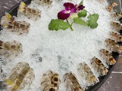-富来美食