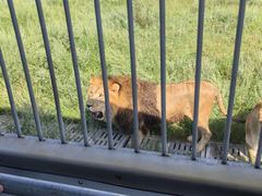 -鄂尔多斯野生动物园