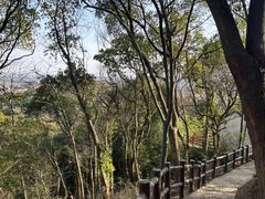 -上海佘山国家森林公园天马山园