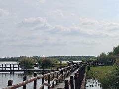 -西青郊野公园
