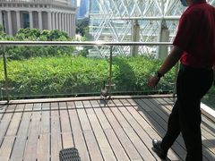 -东方明珠·可口可乐欢乐餐厅