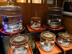 -老江南春·中国龙菜(衡山路店)