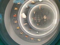 -中国湿地博物馆
