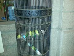 android_upload_pic-老味道民宿(栈桥店)