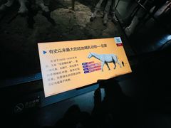 -柳州白莲洞洞穴科学博物馆