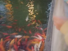 -芜湖方特东方神画