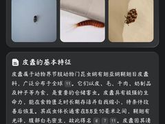 -老黄记手撕烤兔(玉林街店)