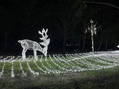 -亚龙湾国际玫瑰谷