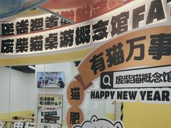 -废柴猫桌游概念馆(王府井喜悦购物中心店)