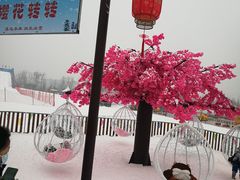 -绿野森林乐园冰雪季