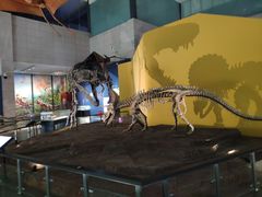 -湖南省地质博物馆