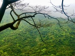 -梧桐山风景名胜区
