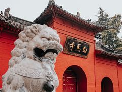 -洛阳白马寺