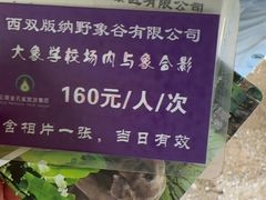 -野象谷景区