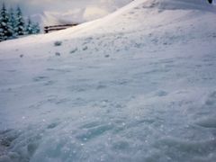 -世界之窗阿尔卑斯冰雪世界