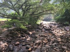 -广州市石门国家森林公园