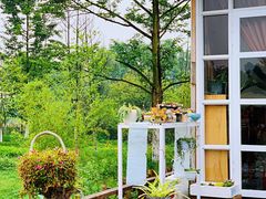 -桤木河湿地公园