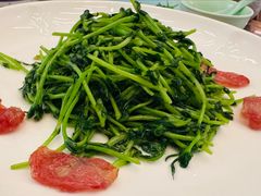 鸡油腊味炒豆苗-潮界(LU·ONE凯德晶萃广场店)