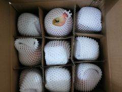 -百果园PAGODA(西四地铁站店)