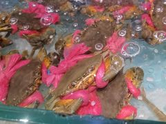 -百味馆·粤菜·湛江菜(后海花园店)