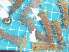 -醉壹号海鲜大排档(厦门美食地标店)