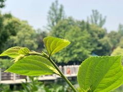 -白马涧龙池景区
