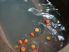 -南宫温泉水世界