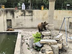 -保定市动物园