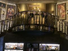 -雪灵魔法世界SHELLY’S TAROT(大良桂畔里店)