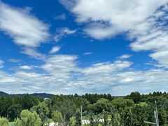 -北京西山国家森林公园