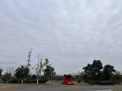 -漩门湾国家湿地公园