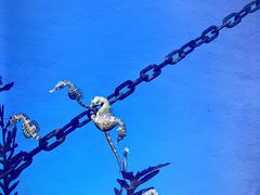 -上海海洋水族馆