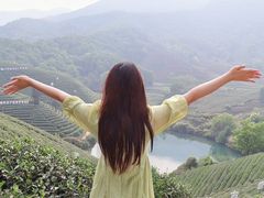 -龙坞茶村