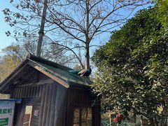 -南京老山国家森林公园