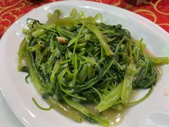 通心菜-湛江海鲜食府(一号路店)