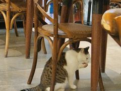 -水先生寧波菜(天一店)