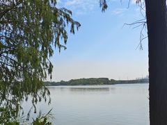 -海珠湖公园