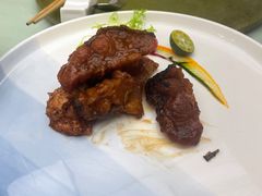 -丁老爷子苏香圆