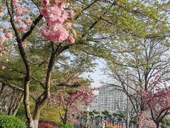 -北岭山森林公园