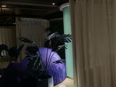 -漫·汤泉