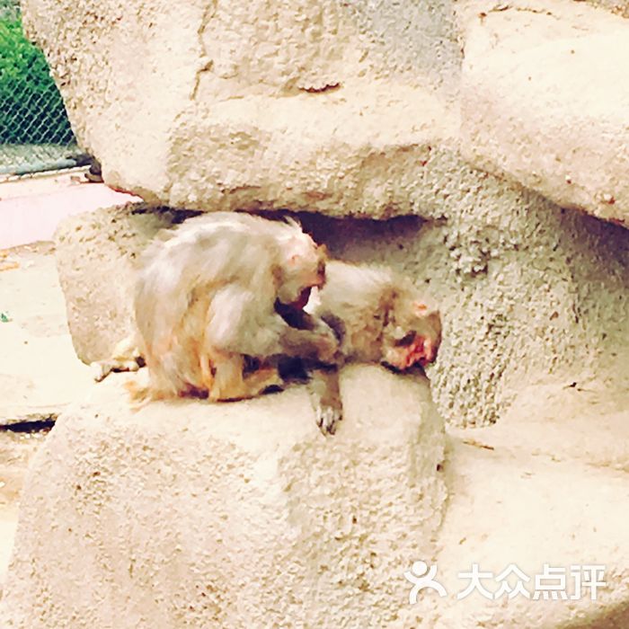 太原動物園